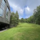 휘닉스노블스윙 이미지