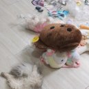 짱오락실대전 이미지