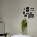 세븐일레븐 부산기장조은점 | [부산/기장] 정관 꽃집 '더프루테' 꽃다발 추천 후기 : 가성비와 퀄리티에 반하다