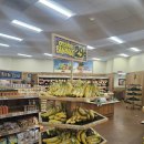 늘푸른청과 | 캘리포니아 산호세 가족 여행! K-푸드 성지 'H마트'부터 미국 감성 '트레이더 조' &amp; '주니퍼 호텔' 완벽...