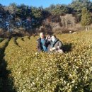 박성준 농장 이미지