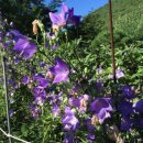 마음애고향 이미지