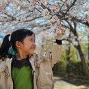 새장유어린이집 이미지