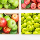 에덴셀프 이미지