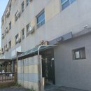 애견콜 | 대구 팔공산 캠크닉 애견동반 팔공힐링펜션 다녀온 후기~