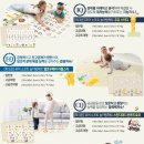 성인놀이방 이미지