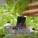 일신팜 이미지