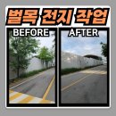 가지치기 벌목 업체 전지작업 비용