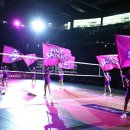 현대인삼 이미지