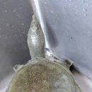 복자농장 이미지