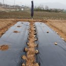 용전농장 이미지