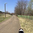 베스트프렌드 동물병원 | 오스트레일리안 셰퍼드 육아일기 41~42주 차 아빠와 봄 산책