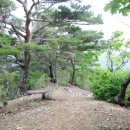 대운상대길 이미지