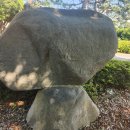 동래고등학교 이미지