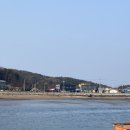 인어좌대 이미지