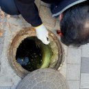 괴정로 | 부산에서 경험한 하수구 막힘, 이렇게 해결했어요!