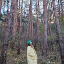 왕피천생태탐방로 | 울진여행 가족여행 울진 가볼만한곳 왕피천생태탐방로 여행후기