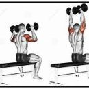 서오상부 이미지