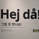 지수페인트 | 현생일기 두번째 기록 : 동네탐방과 강릉일기 그리고 옥상 셀프방수 후기