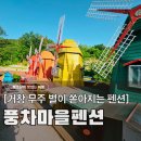 ICE2펜션 | 거창펜션 덕유산 이색 숙소, 가족여행 밤 하늘 별과 맑은 계곡 풍차마을펜션 (바베큐, 다락방)