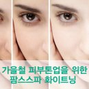 팜스스킨앤바디 네이버블로그