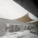 용죽강남공인중개사사무소 이미지