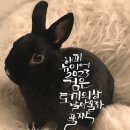 캘리그라피(기초) 이미지