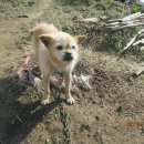 동호동주민센터 이미지