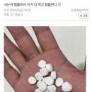 얘들아 나 진짜 마지막으로 하바바 한번만 더 해줄 수 잇어..? 해결되면 제대로 문아하러 올게 이미지