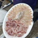 광안리회포장 시장 이모들이 &#39;다 저기만 가네...&#39;하는 민락어민활어직판장 울타리상회