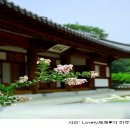 이춘구의원 Daum카페