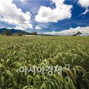 현산유통