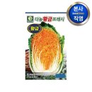 다농 이미지