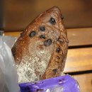 (주)동부산온천호텔 이미지