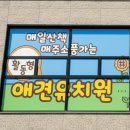 포근멍 애견 유치원 이미지