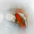 해린어린이집 이미지