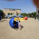 정재초등학교 티스토리