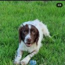 기재농장 이미지