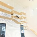 캣플헤븐 AK플라자금정점 | 산본 AK플라자 금정점 고양이카페 캣플헤븐 방문후기