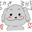 도기온 이미지
