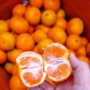 영평농장 이미지