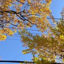 에이스덴탈치과기공소 | 일경험 인턴 2주차 후기 낋여옴ㅣ근데 면접 후기를 곁들인