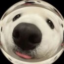 피규어 뽑기 이미지