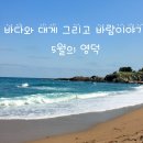동광해상풍력 이미지
