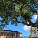 용추경로당 이미지