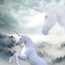 유니콘모텔 이미지