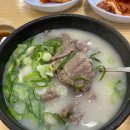 국도 송파IC(장지역) 다이닝코드