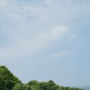 얼큰이손칼국수 네이버블로그