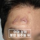 강동실비 이미지