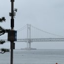 라포르엘랜디스도넛광안리점 | [부산 광안리] 랜디스도넛ㅣ도넛은 알았지만 커피도 맛집인 곳🍩 (주차, 메뉴, 후기)